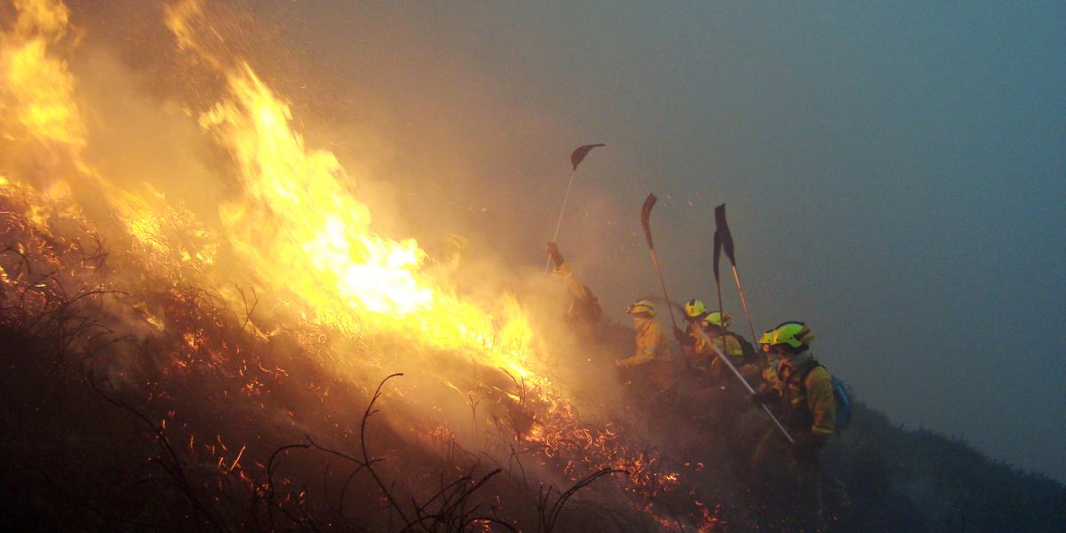 Hacia la clasificación de la exposición ocupacional de bombero/a  como cancerígena 