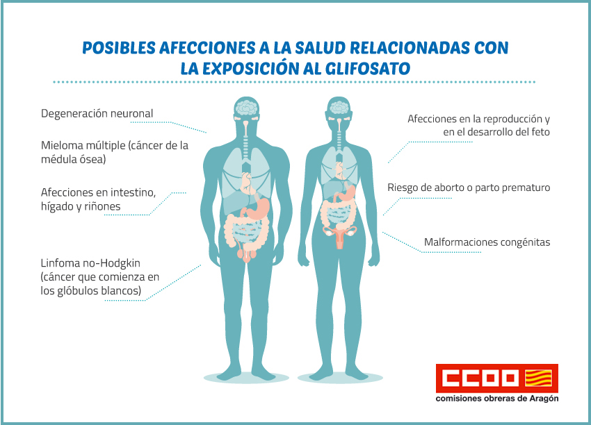 Informe 