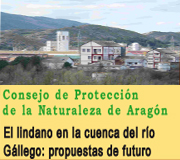 Lindano en la cuenca del Gállego: propuestas de futuro.